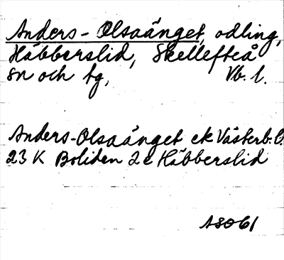 Bild på arkivkortet för arkivposten Anders-Olsaänget