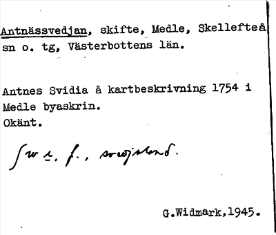 Bild på arkivkortet för arkivposten Antnässvedjan