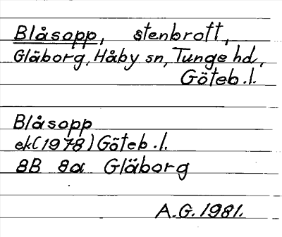 Bild på arkivkortet för arkivposten Blåsopp