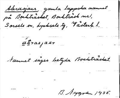 Bild på arkivkortet för arkivposten Abrasjaur