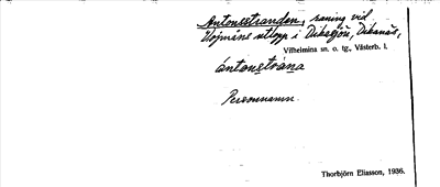 Bild på arkivkortet för arkivposten Antonsstranden