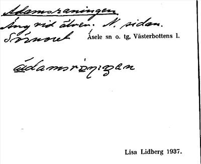 Bild på arkivkortet för arkivposten Adamsraningen