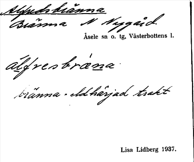 Bild på arkivkortet för arkivposten Alfredsbränna