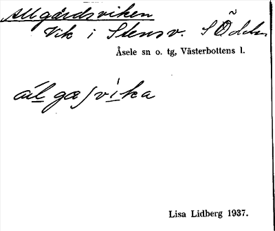 Bild på arkivkortet för arkivposten Allgårdsviken