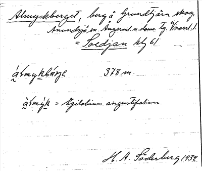 Bild på arkivkortet för arkivposten Almyckberget
