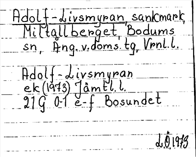 Bild på arkivkortet för arkivposten Adolf-Livsmyran