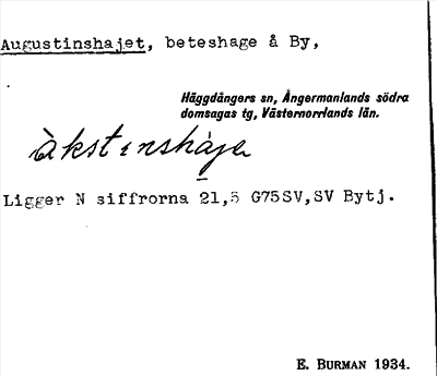 Bild på arkivkortet för arkivposten Augustinshajet