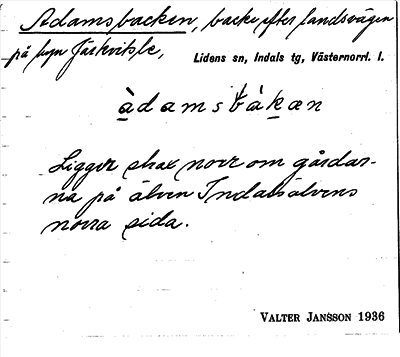 Bild på arkivkortet för arkivposten Adamsbacken