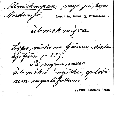 Bild på arkivkortet för arkivposten Almickmyran