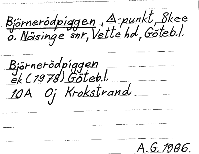 Bild på arkivkortet för arkivposten Björnerödpiggen
