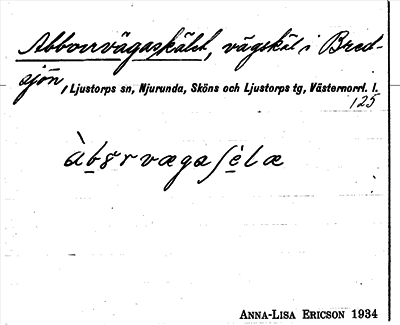 Bild på arkivkortet för arkivposten Abborrvägaskälet