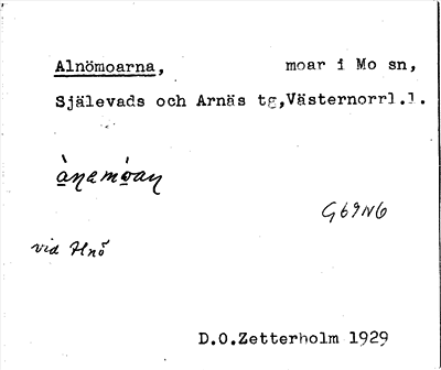 Bild på arkivkortet för arkivposten Alnömoarna