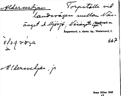Bild på arkivkortet för arkivposten Aldersvedjan