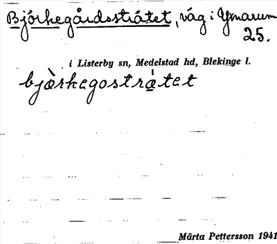 Bild på arkivkortet för arkivposten Björkegårdsstråtet