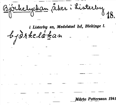 Bild på arkivkortet för arkivposten Björkelyckan