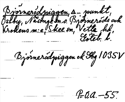 Bild på arkivkortet för arkivposten Björnerödpiggen