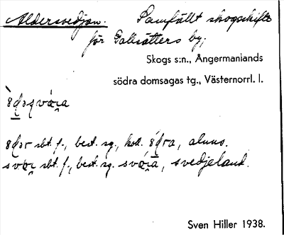 Bild på arkivkortet för arkivposten Aldersvedjan