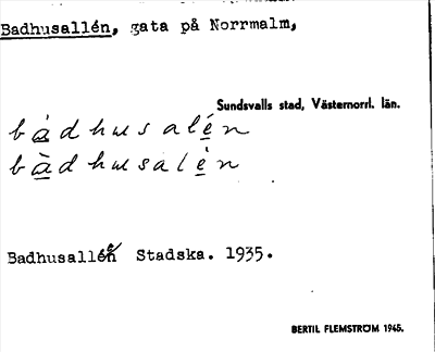 Bild på arkivkortet för arkivposten Badhusallén