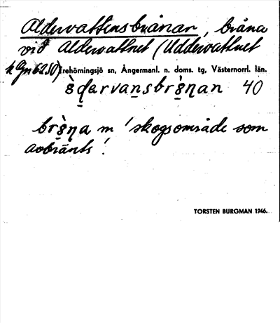 Bild på arkivkortet för arkivposten Aldervattensbrånan