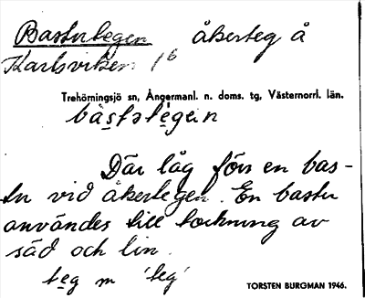Bild på arkivkortet för arkivposten Bastutegen