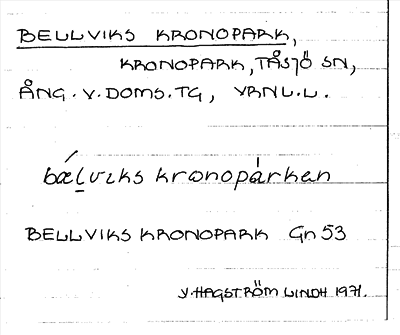 Bild på arkivkortet för arkivposten Bellviks kronopark