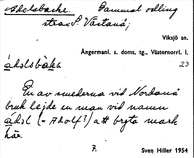 Bild på arkivkortet för arkivposten Adelsbacke
