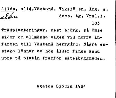 Bild på arkivkortet för arkivposten Allén