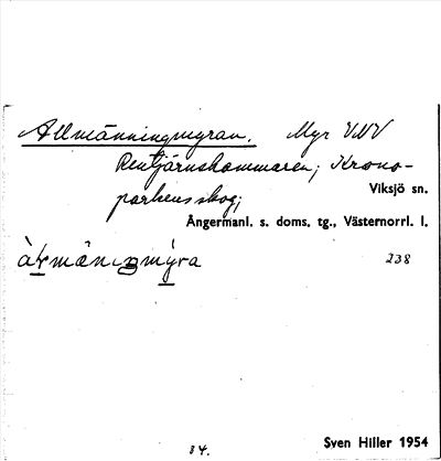 Bild på arkivkortet för arkivposten Allmänningmyran