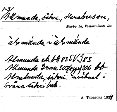 Bild på arkivkortet för arkivposten Allmunda