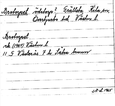 Bild på arkivkortet för arkivposten Brotorpet