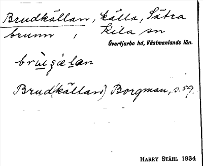 Bild på arkivkortet för arkivposten Brudkällan
