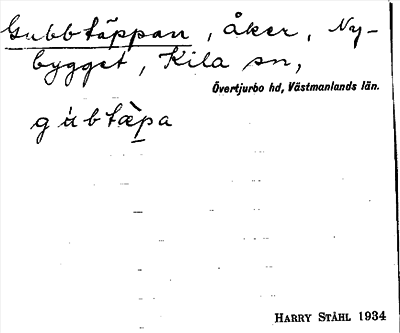 Bild på arkivkortet för arkivposten Gubbtäppan