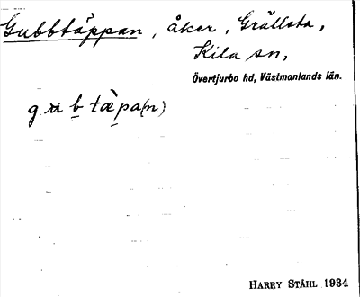 Bild på arkivkortet för arkivposten Gubbtäppan
