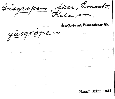 Bild på arkivkortet för arkivposten Gåsgropen