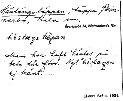 Bild på arkivkortet för arkivposten Hästängstäppan