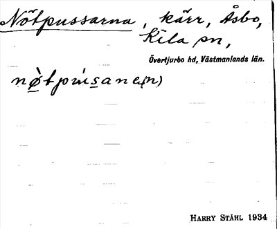 Bild på arkivkortet för arkivposten Nötpussarna