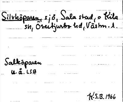 Bild på arkivkortet för arkivposten Silvköparen