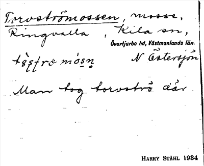 Bild på arkivkortet för arkivposten Torvströmossen