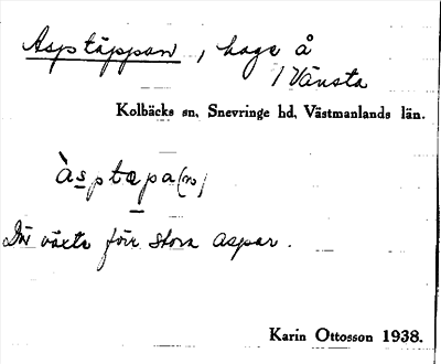 Bild på arkivkortet för arkivposten Asptäppan