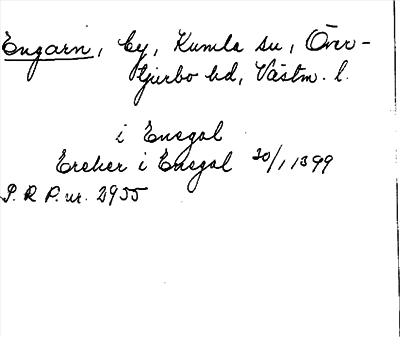 Bild på arkivkortet för arkivposten Engarn