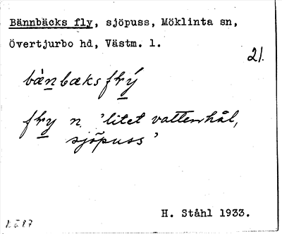 Bild på arkivkortet för arkivposten Bännbäcks fly
