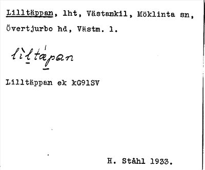 Bild på arkivkortet för arkivposten Lilltäppan