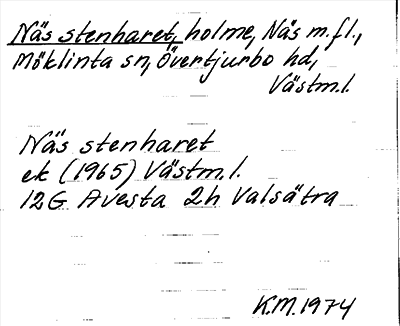 Bild på arkivkortet för arkivposten Näs stenharet