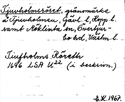 Bild på arkivkortet för arkivposten Tjuvholmsröset