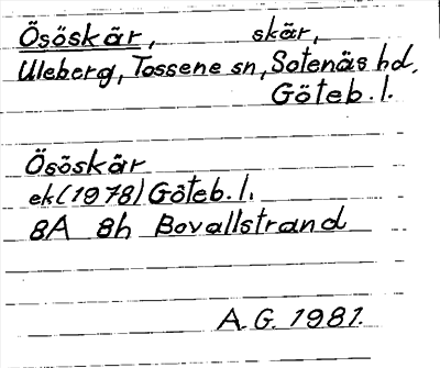 Bild på arkivkortet för arkivposten Ösöskär