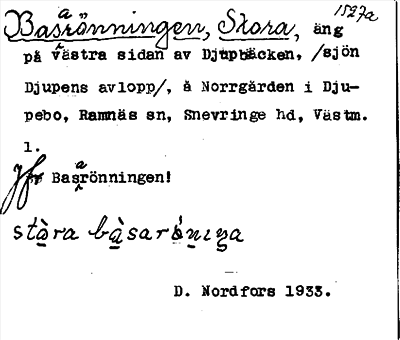 Bild på arkivkortet för arkivposten Basarönningen, Stora