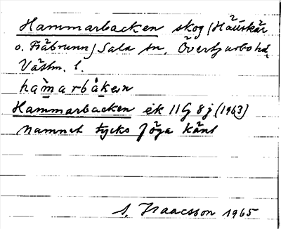 Bild på arkivkortet för arkivposten Hammarbacken