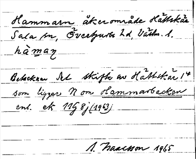 Bild på arkivkortet för arkivposten Hammarn