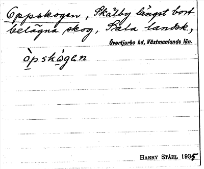 Bild på arkivkortet för arkivposten Oppskogen
