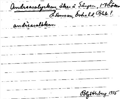 Bild på arkivkortet för arkivposten Andreasalyckan